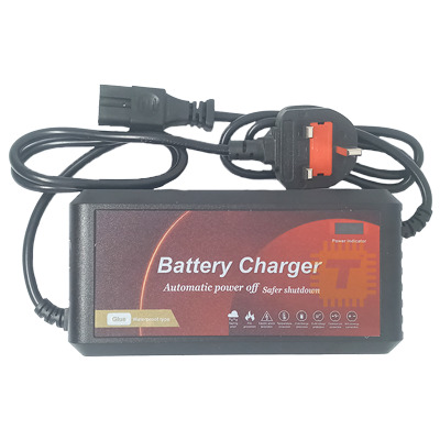 60V 20A Battery Charger eBike (Glue WP Type)